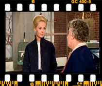 ملانی: می دونم تمام صبح رو تلفن  کردم.