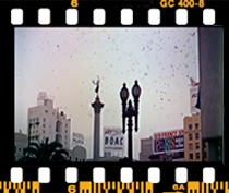 اولین اخطار هیچکاک: پرندگان خواهند آمد